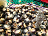 Corn Seeds - Haudenosaunee Black - Alliance of Native Seedkeepers - 1. All Vegetables