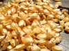 Corn Seeds - Kanú·ta·ʔ (Bearpaw) - Alliance of Native Seedkeepers - Corn