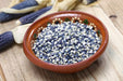 Corn Seeds - Popcorn - Mini Blue (Coming Jan/Feb 2024) - Alliance of Native Seedkeepers -