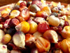 Corn Seeds - Seneca Red Stalker - Alliance of Native Seedkeepers - Corn