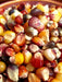 Corn Seeds - Seneca Red Stalker - Alliance of Native Seedkeepers - Corn