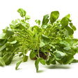 Cress Seeds - Upland - Alliance of Native Seedkeepers - Vegetable Seeds
