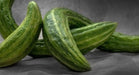 Cucumber Seeds - Armenian Cucumber - Alliance of Native Seedkeepers - 2. All Fruits