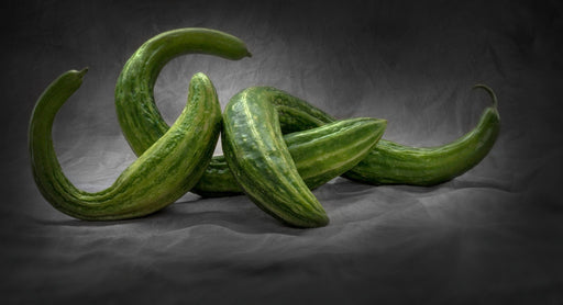 Cucumber Seeds - Armenian Cucumber - Alliance of Native Seedkeepers - 2. All Fruits