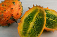 Cucumber Seeds - Jelly Melon Cucumber - Alliance of Native Seedkeepers - 2. All Fruits