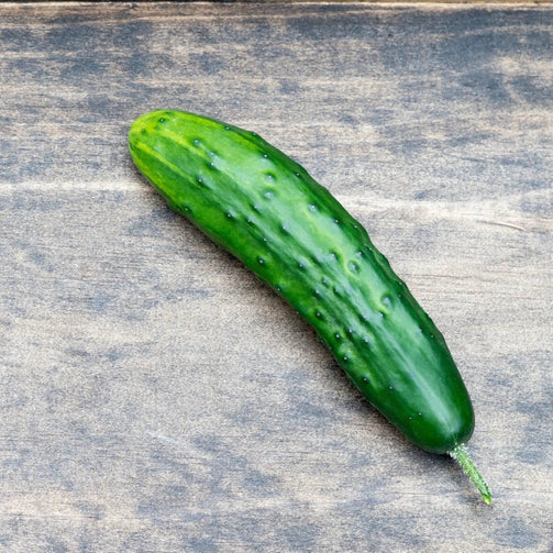 Cucumber Seeds - Marketmore 76 - Alliance of Native Seedkeepers - Cucumbers