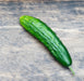 Cucumber Seeds - Marketmore 76 - Alliance of Native Seedkeepers - Cucumbers