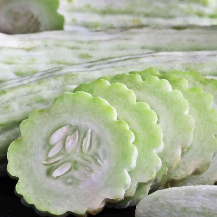 Armenian Striped Painted Serpent Cucumber Seeds