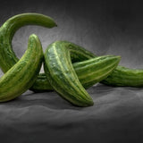 Cucumber Seeds - Vining - Armenian - Alliance of Native Seedkeepers - Vegetable Seeds