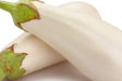 Eggplant Seeds - Casper White - Alliance of Native Seedkeepers - Eggplant