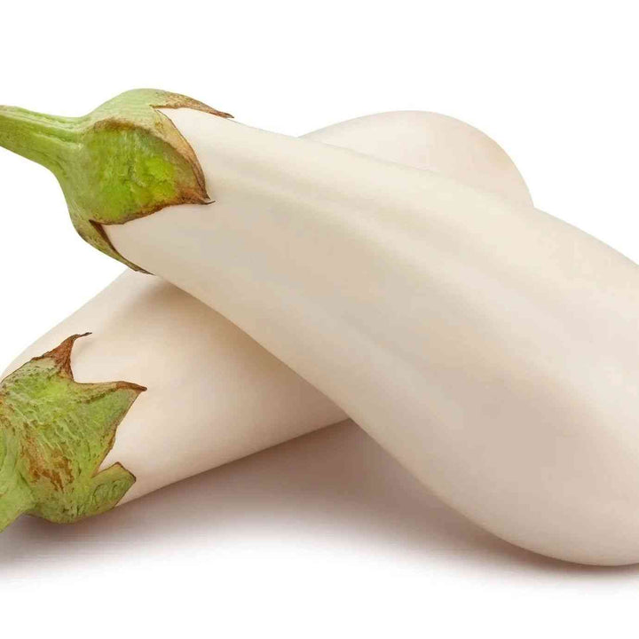 Casper White Eggplant Seeds