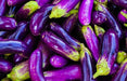 Eggplant Seeds - Pingtung Long - Alliance of Native Seedkeepers - Eggplant