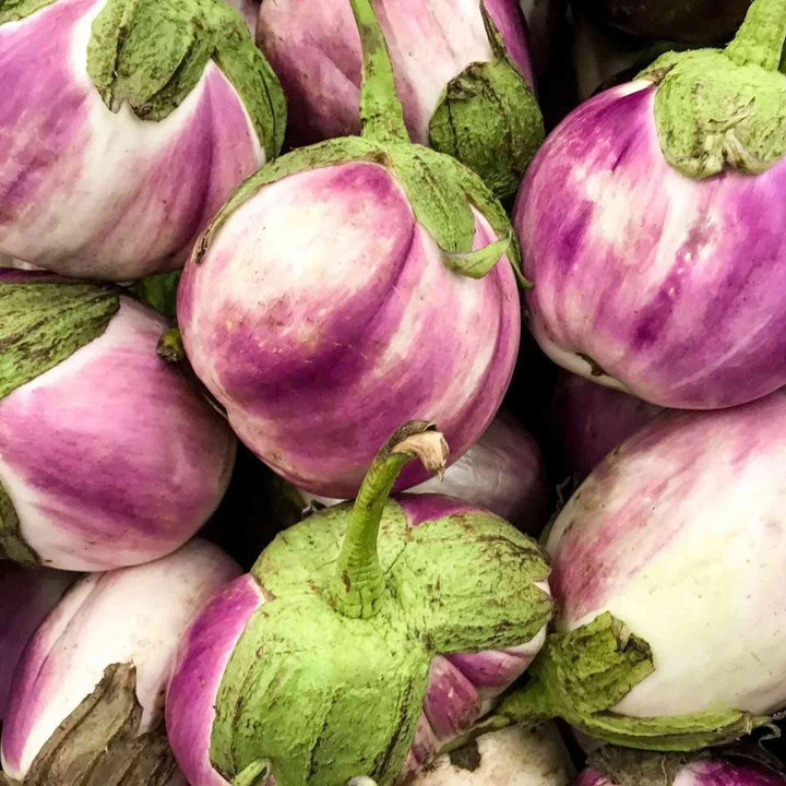 Rosa Bianca Eggplant Seeds