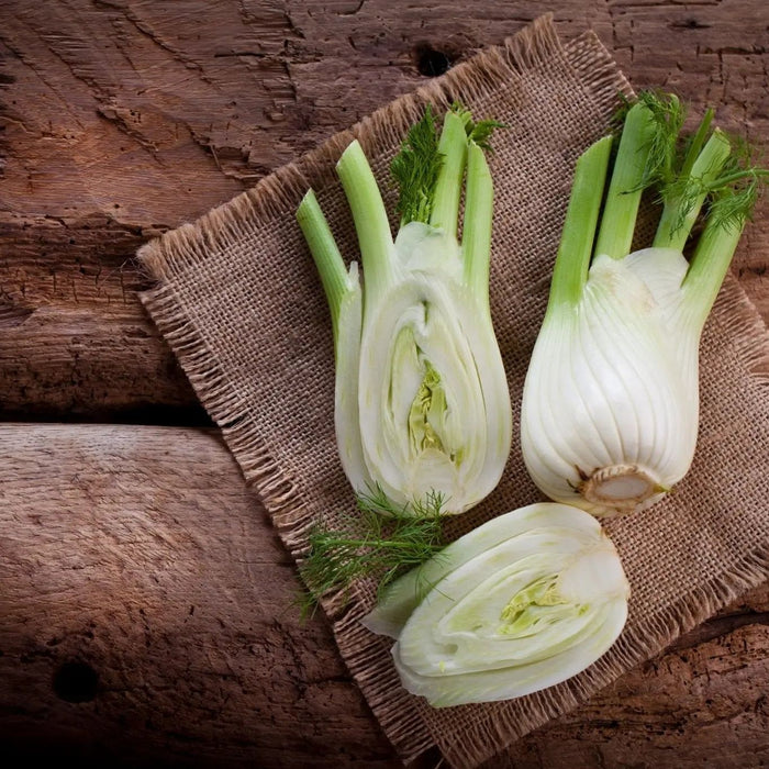 Fennel Seeds - Florence - Alliance of Native Seedkeepers - 1. All Vegetables