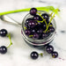 Huckleberry Seeds - Solanum - Chichiquelite - Alliance of Native Seedkeepers -