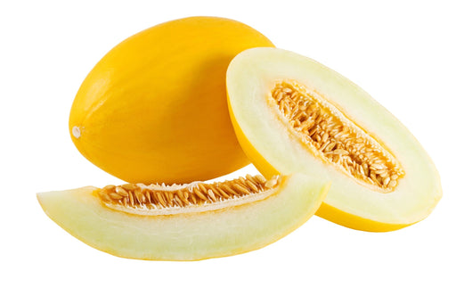 Melon Seeds - Canary Yellow - Alliance of Native Seedkeepers - 2. All Fruits