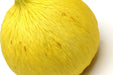 Melon Seeds - Golden Beauty Casaba - Alliance of Native Seedkeepers - 2. All Fruits