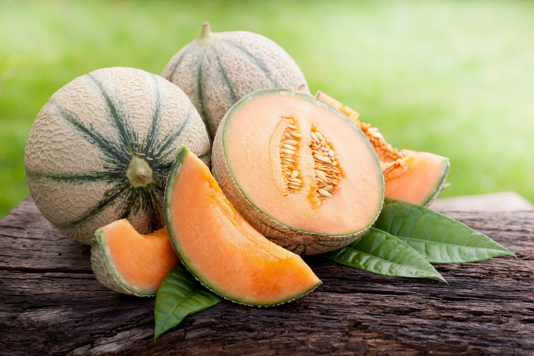 Melon Seeds - Hales Best Jumbo Cantaloupe - Alliance of Native Seedkeepers - 1. All Vegetables