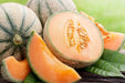 Melon Seeds - Hales Best Jumbo Cantaloupe - Alliance of Native Seedkeepers - 1. All Vegetables