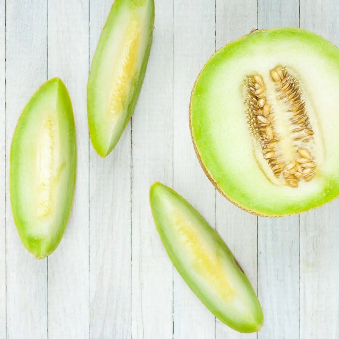 Melon Seeds - Honeydew Green Flesh - Alliance of Native Seedkeepers - 2. All Fruits