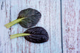 Mustard Seeds -Red Tatsoi - Alliance of Native Seedkeepers - Mustard