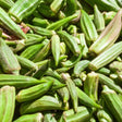 Okra Seeds - Clemson Spineless Okra - Alliance of Native Seedkeepers - Vegetable Seeds