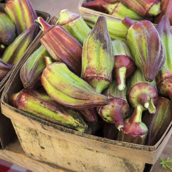 Texas Hill Country Red Okra Seeds