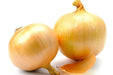 Onion Seeds - Utah Yellow Sweet Spanish - Alliance of Native Seedkeepers - Onion