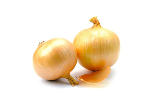 Onion Seeds - Utah Yellow Sweet Spanish - Alliance of Native Seedkeepers - Onion