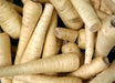 Parsnip Seeds - Harris Model - Alliance of Native Seedkeepers - Parsnip