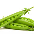 Pea Seeds - Garden - Green Arrow - Alliance of Native Seedkeepers - Vegetable Seeds