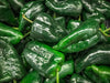 Pepper Seeds - Hot - Ancho Gigantea Poblano - Alliance of Native Seedkeepers - Pepper