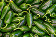 Pepper Seeds - Hot - Early Jalapeno - Alliance of Native Seedkeepers - Pepper