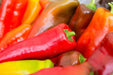 Pepper Seeds - Hot - Hungarian Hot Wax - Alliance of Native Seedkeepers - Pepper