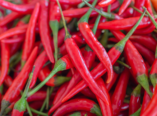 Pepper Seeds - Hot - Long Red Thin Cayenne - Alliance of Native Seedkeepers - Pepper