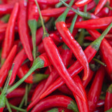 Pepper Seeds - Hot - Long Red Thin Cayenne Pepper - Alliance of Native Seedkeepers - Vegetable Seeds