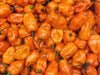 Pepper Seeds - Hot - Orange Habanero - Alliance of Native Seedkeepers - Pepper