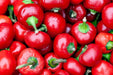 Pepper Seeds - Hot - Red Cherry - Alliance of Native Seedkeepers - Pepper