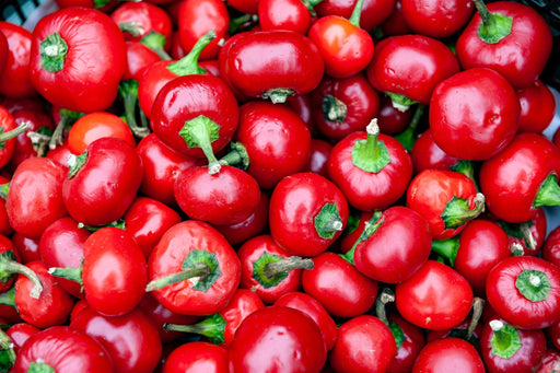 Pepper Seeds - Hot - Red Cherry - Alliance of Native Seedkeepers - Pepper