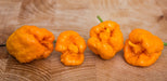 Pepper Seeds - Hot - Seven Pot Yellow - Alliance of Native Seedkeepers - 0. New Items 2022