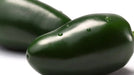 Pepper Seeds - Hot - Tam Jalapeno - Alliance of Native Seedkeepers - Pepper