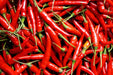 Pepper Seeds - Hot - Thai - Alliance of Native Seedkeepers - 1. All Vegetables
