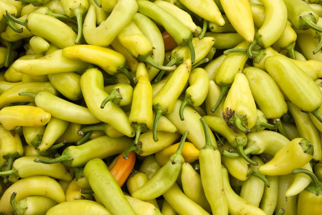 Pepper Seeds - Sweet Banana - Alliance of Native Seedkeepers - Pepper