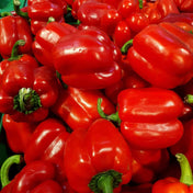 Pepper Seeds - Sweet - Big Red Sweet - Alliance of Native Seedkeepers - Vegetable Seeds