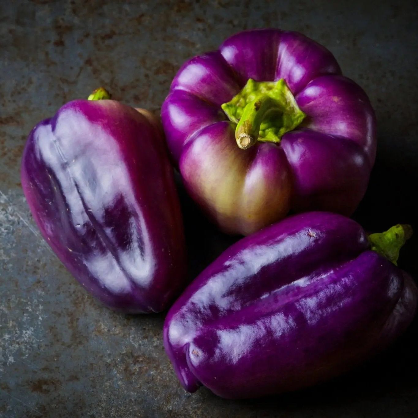 Pepper Seeds - Sweet - Purple Beauty Bell - Alliance of Native Seedkeepers - Vegetable Seeds