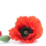 Poppy Seeds - Flanders American Legion - Alliance of Native Seedkeepers - Flower Seeds