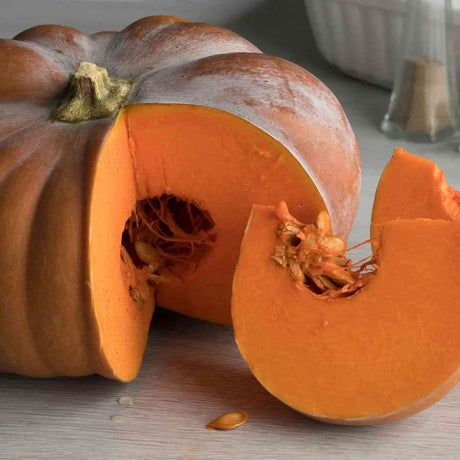 Sienna Pumpkin Seeds - Musquee De Provence Alliance Of Native Seedkeepers Vegetable Seeds