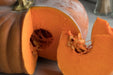 Pumpkin Seeds - Musquee De Provence - Alliance of Native Seedkeepers - 1. All Vegetables