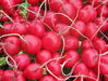 Radish Seeds - Cherry Belle - Alliance of Native Seedkeepers - 1. All Vegetables