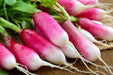 Radish Seeds - French Breakfast - Alliance of Native Seedkeepers - 1. All Vegetables